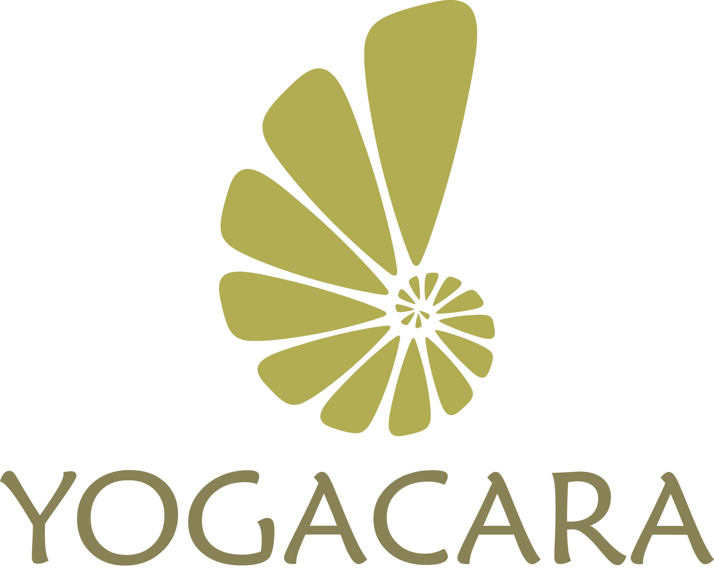 YCLOGOinstitute